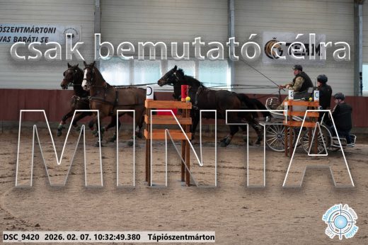 Mintakép 20260207-328