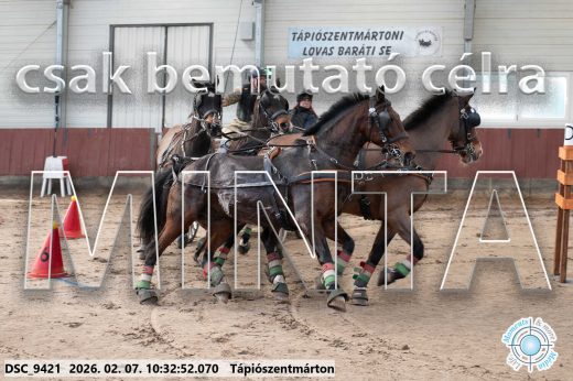 Mintakép 20260207-329
