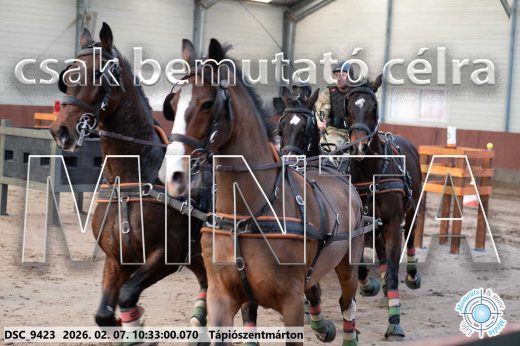 Mintakép 20260207-331