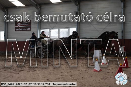 Mintakép 20260207-333