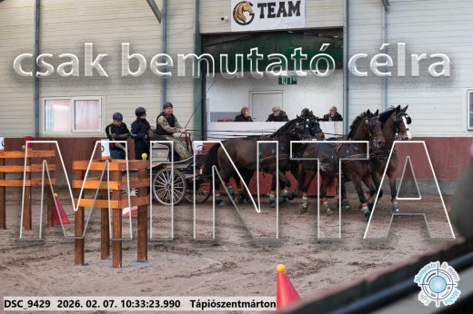 Mintakép 20260207-336