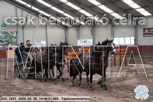 Mintakép 20260208-440