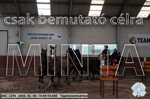 Mintakép 20260208-443