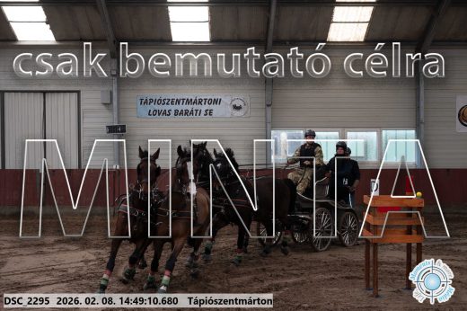 Mintakép 20260208-444