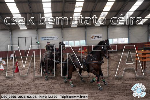Mintakép 20260208-445