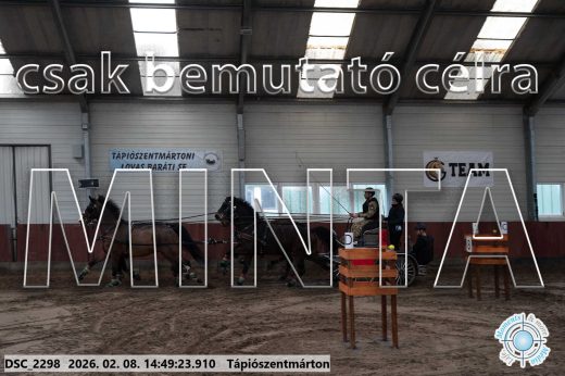 Mintakép 20260208-446