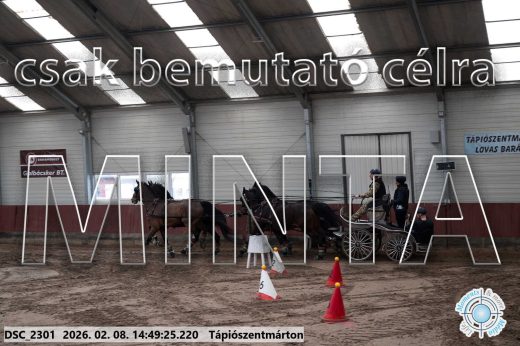 Mintakép 20260208-449