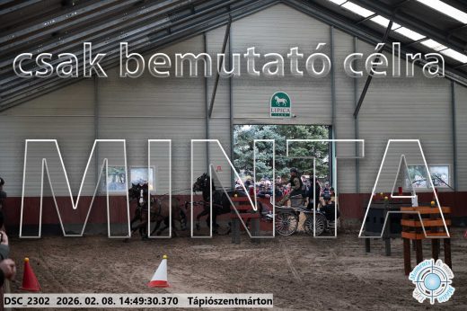 Mintakép 20260208-450