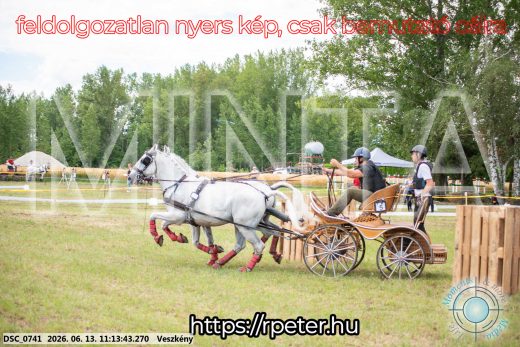 Mintakép 20260613-572