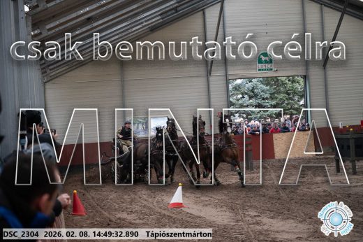 Mintakép 20260208-452