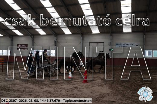 Mintakép 20260208-455