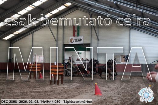 Mintakép 20260208-456