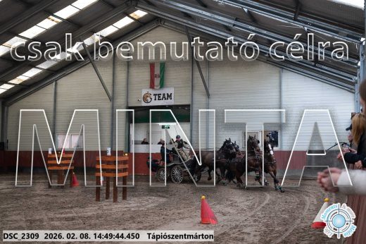 Mintakép 20260208-457