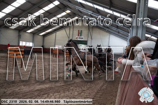 Mintakép 20260208-458