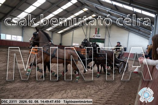 Mintakép 20260208-459