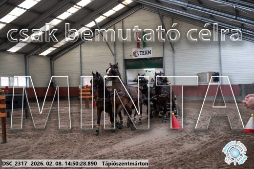 Mintakép 20260208-465