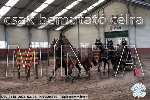 Mintakép 20260208-466