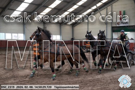 Mintakép 20260208-467