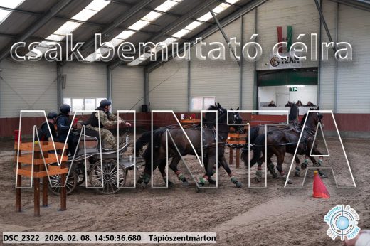 Mintakép 20260208-470