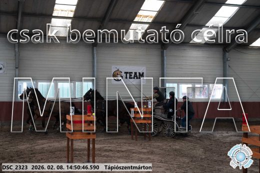 Mintakép 20260208-471