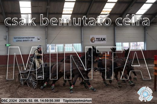 Mintakép 20260208-472
