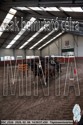 Mintakép 20260208-474