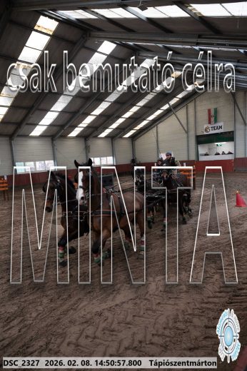 Mintakép 20260208-475