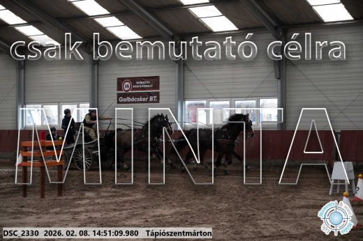 Mintakép 20260208-477