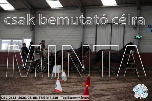 Mintakép 20260208-480