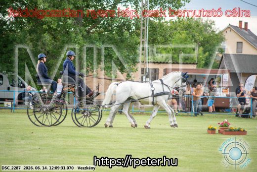 Mintakép 20260614-127