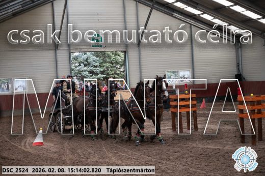 Mintakép 20260208-482