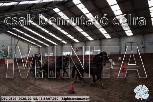 Mintakép 20260208-484