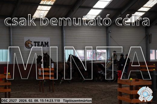 Mintakép 20260208-485