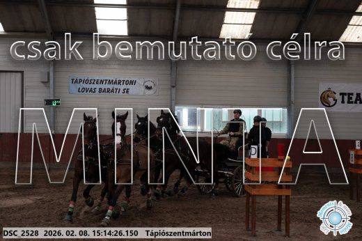 Mintakép 20260208-486