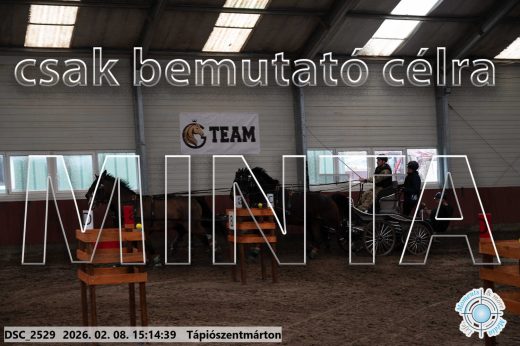 Mintakép 20260208-487