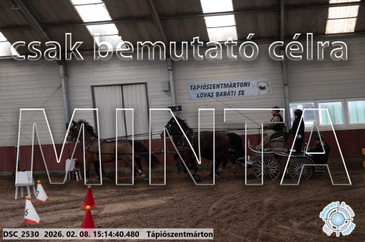 Mintakép 20260208-488