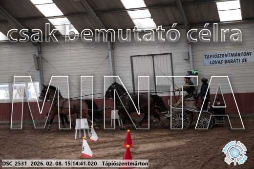 Mintakép 20260208-489