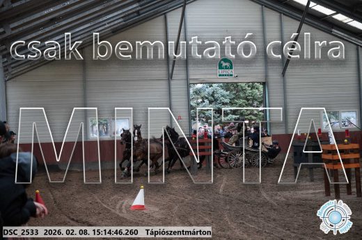Mintakép 20260208-491