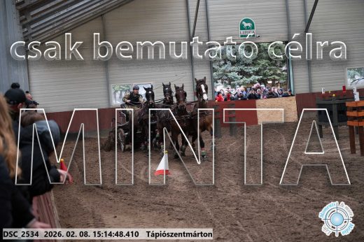 Mintakép 20260208-492