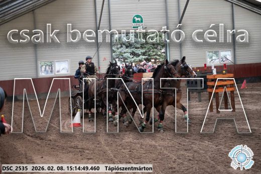 Mintakép 20260208-493