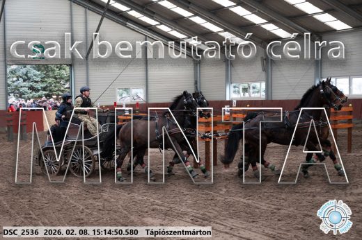 Mintakép 20260208-494
