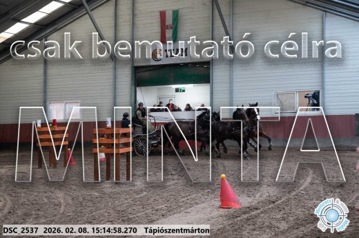 Mintakép 20260208-495