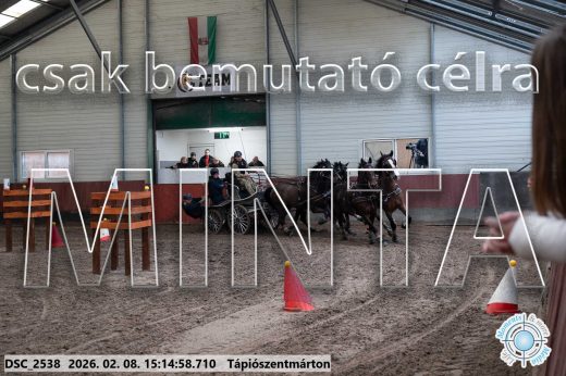 Mintakép 20260208-496