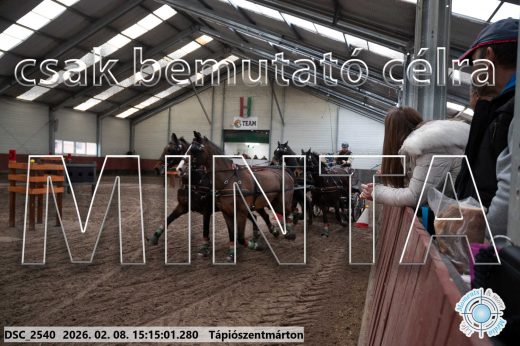 Mintakép 20260208-498