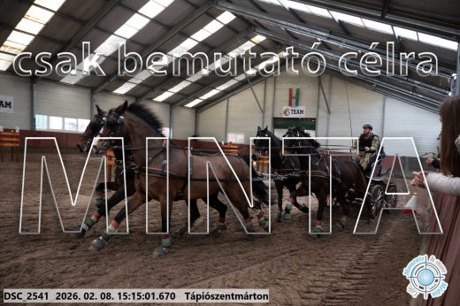 Mintakép 20260208-499