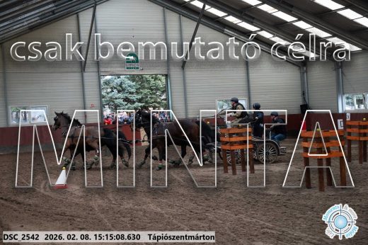 Mintakép 20260208-500