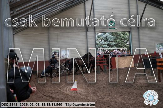 Mintakép 20260208-501