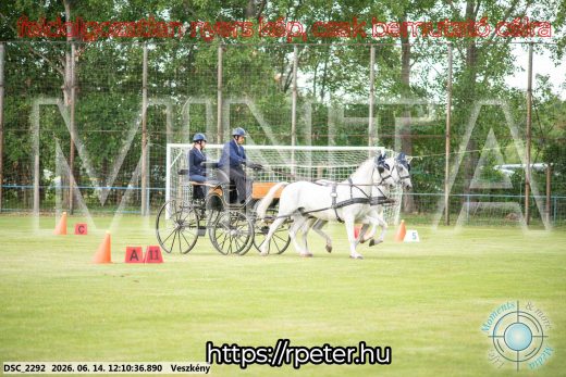 Mintakép 20260614-129