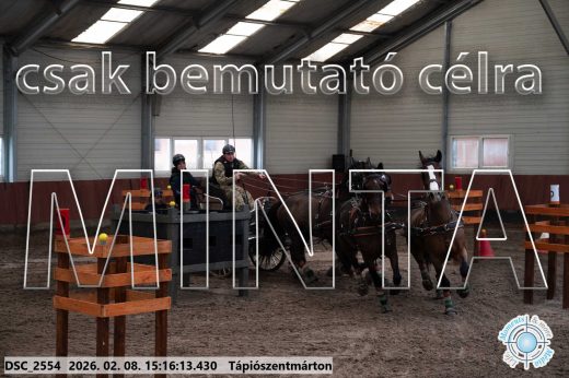 Mintakép 20260208-511