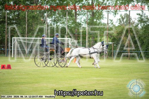 Mintakép 20260614-130